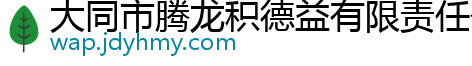 大同市腾龙积德益有限责任公司